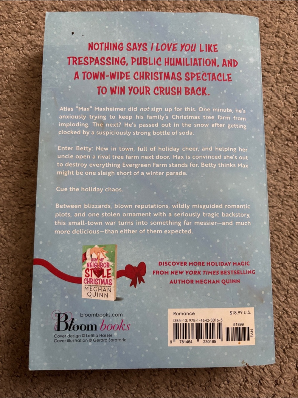 Meghan Quinn Merry Christmas You Filthy Animal Romance Book - Picture 2 of 5
